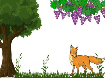 আঙ্গুর ফল টক